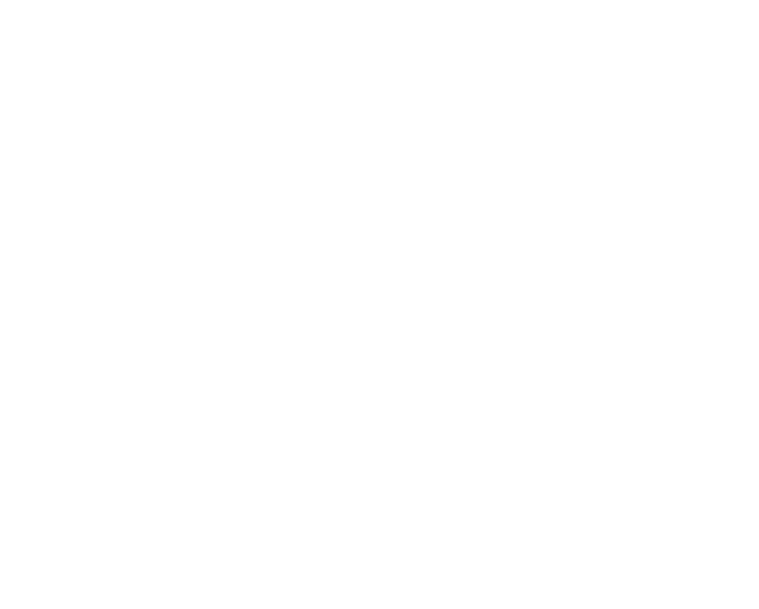 Sutter Logo White